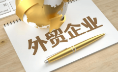 外贸企业注册全流程解析：从天分打点到